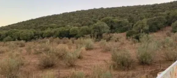 282800m² Land in Leganes, Spain No. 134863 8