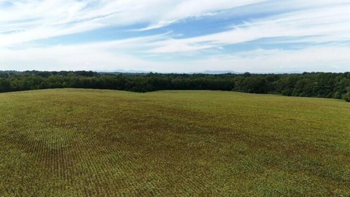  Land in Chesnee, USA No. 474078