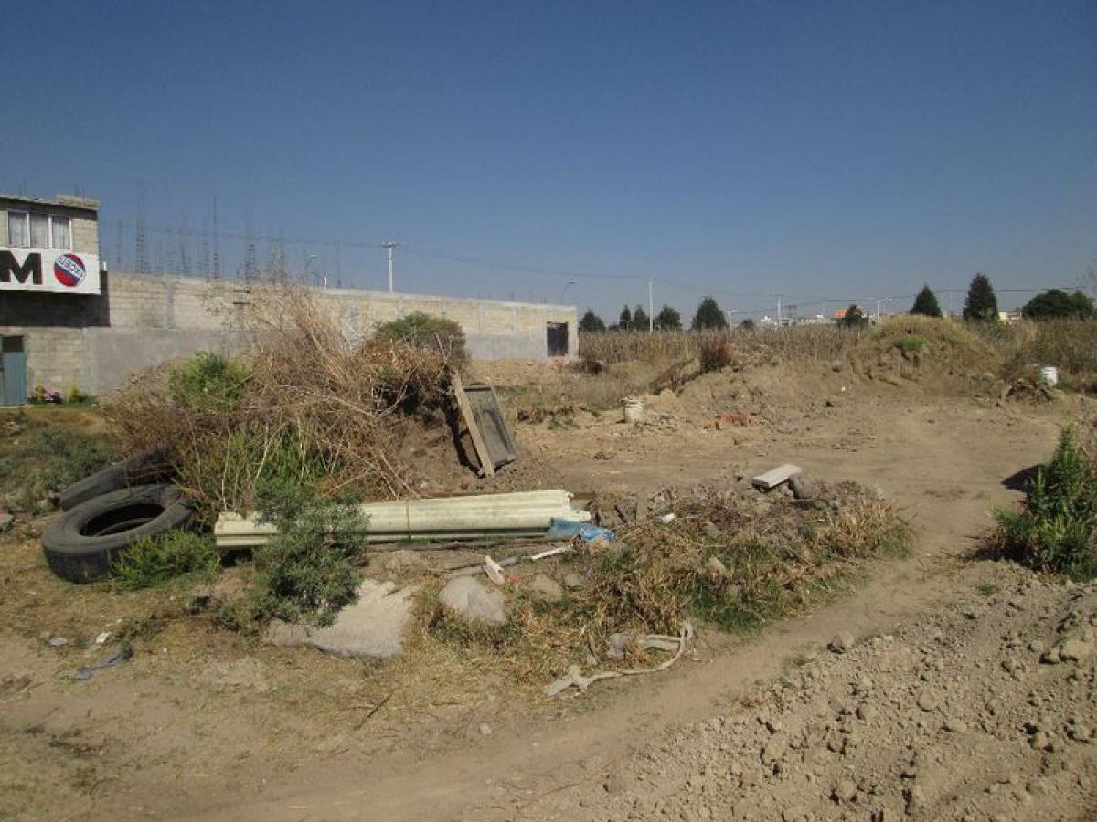 Grundstück in Mexico, Nr. 206009