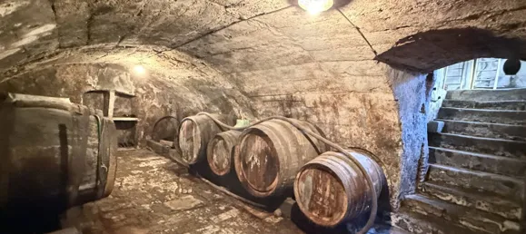 2 bedrooms Castles in Saint-Satur, France No. 321868 12