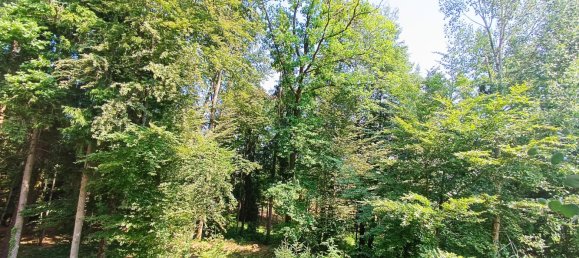 2-Zimmer Wohnung in Hitzendorf, Austria, Nr. 131506 10