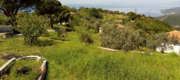 Недвижимость с 3 спальнями в Магнисия, Греция № 6190 9