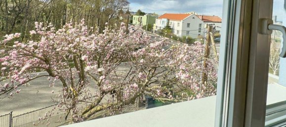 8-salle Maison à Favoriten, Austria No. 117931 2