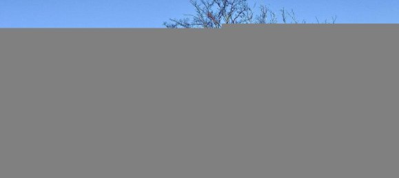 8-salle Maison à Favoriten, Austria No. 117931 55