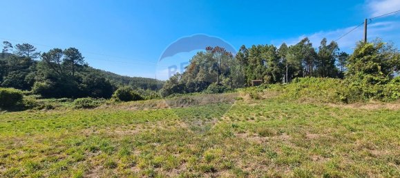  قطعة أرض في Talhadas, Portugal 880متر مربع رقم 69139 3