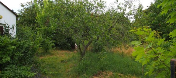 Grundstück in Märkisch-Oderland, Germany 130m², Nr. 368318 9