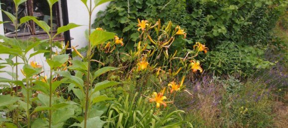 Grundstück in Märkisch-Oderland, Germany 130m², Nr. 368318 8