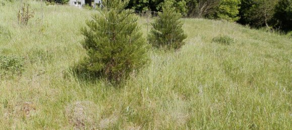 Grundstück in Märkisch-Oderland, Germany 130m², Nr. 368318 10