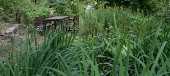 1 Schlafzimmer Haus in Coburg, Germany, Nr. 14957 11