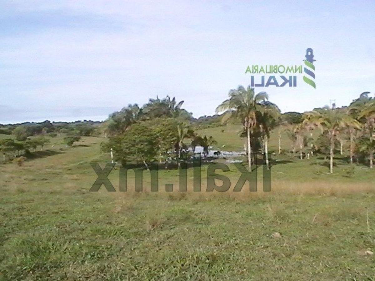  Land in Veracruz, Mexico No. 204443