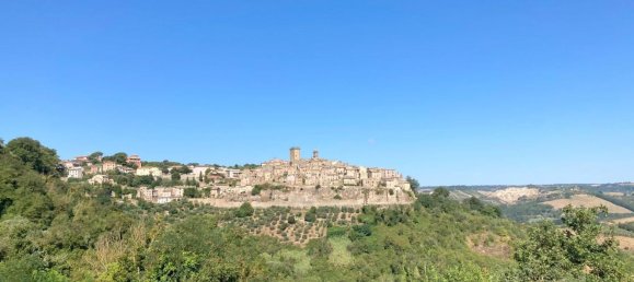 7 Schlafzimmer Haus in Civitella d'Agliano, Italy, Nr. 346244 19