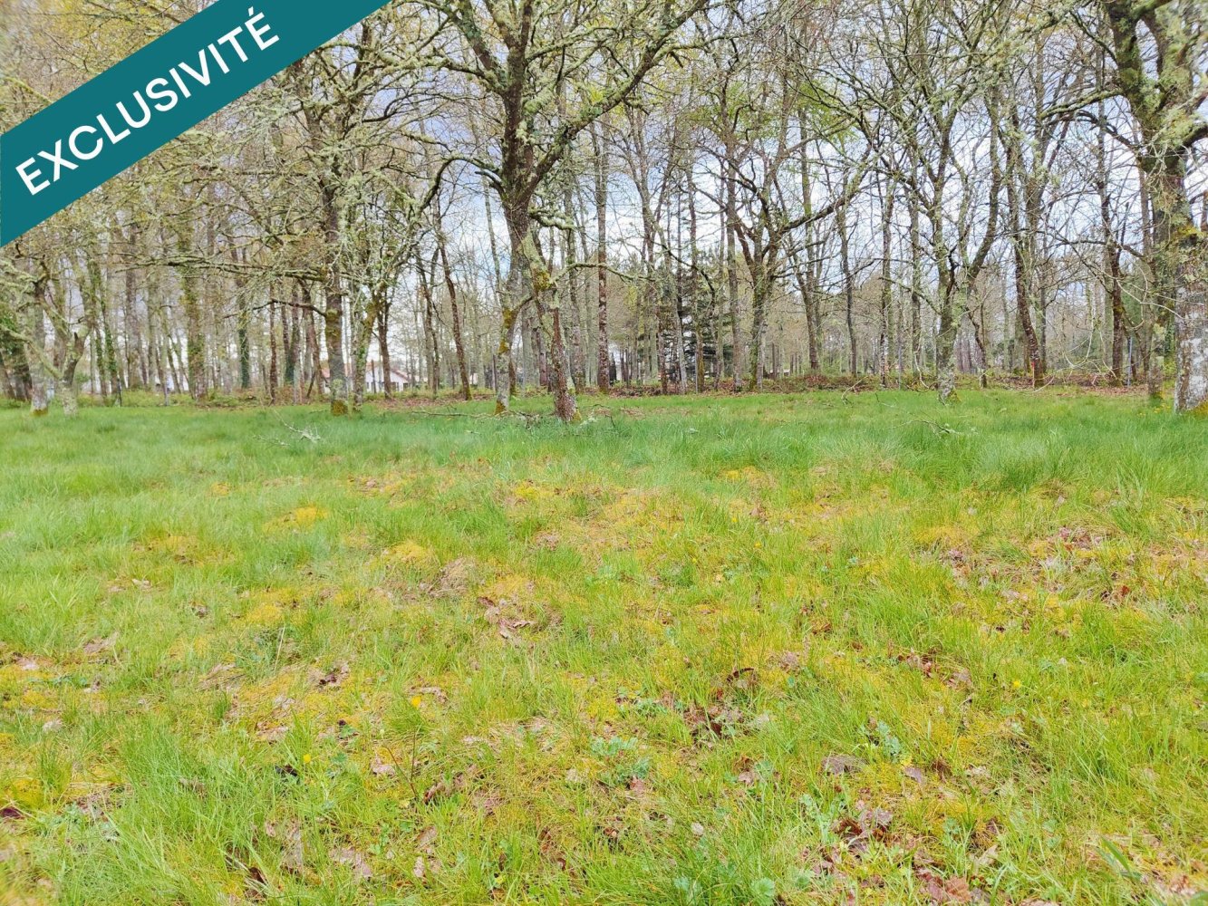  Land in Saint-Jean-d'Illac, France No. 85544