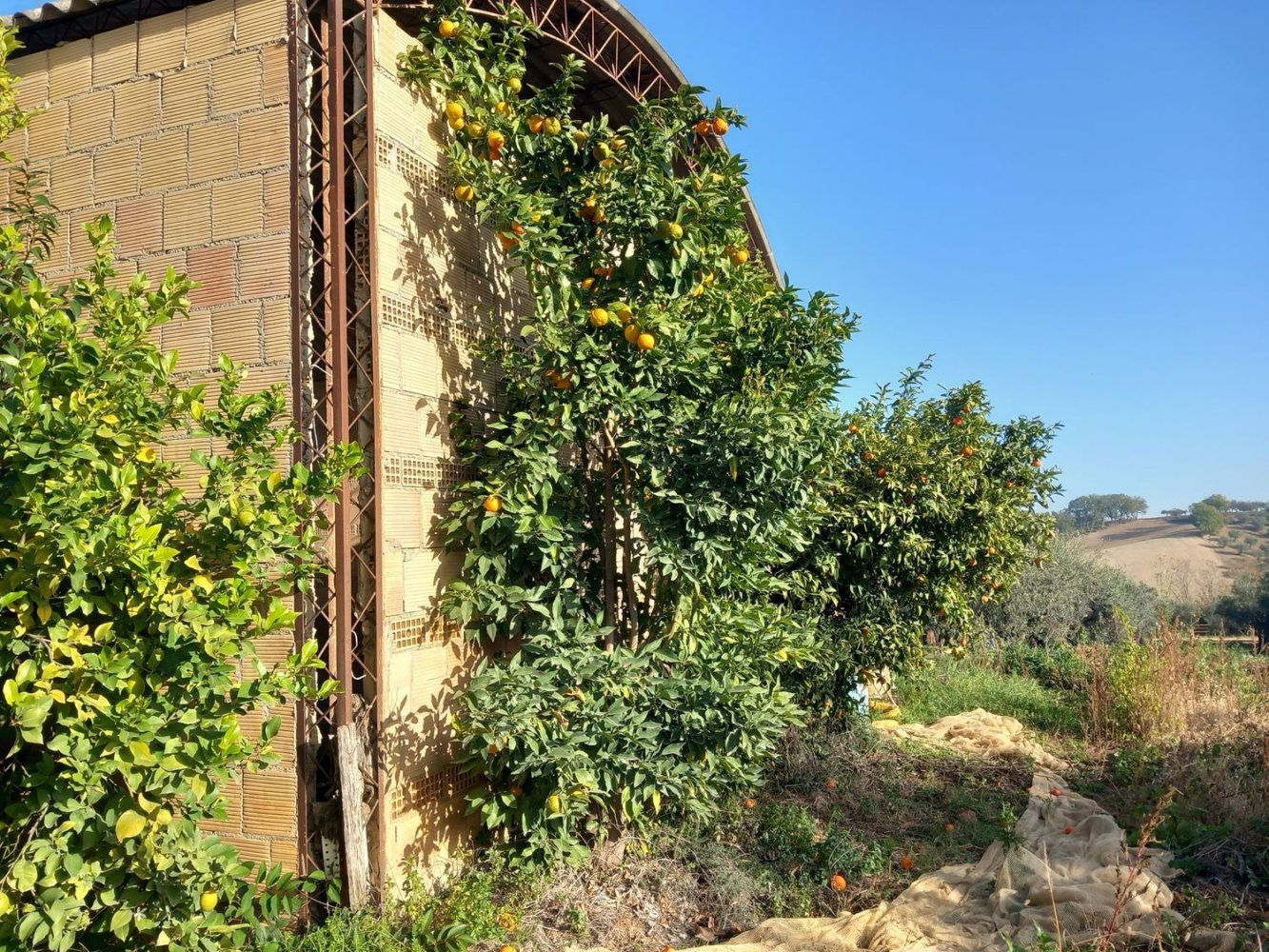 Studio in Pianella, Italy No. 188870