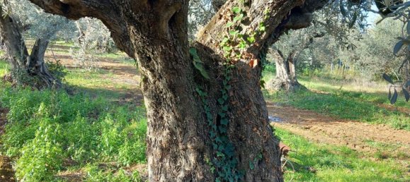 Studio in Pianella, Italy No. 188870 8