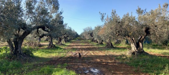 Studio in Pianella, Italy No. 188870 5