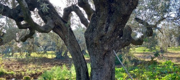 Studio in Pianella, Italy No. 188870 2