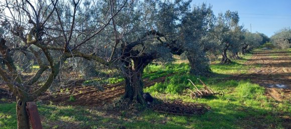 Studio in Pianella, Italy No. 188870 6