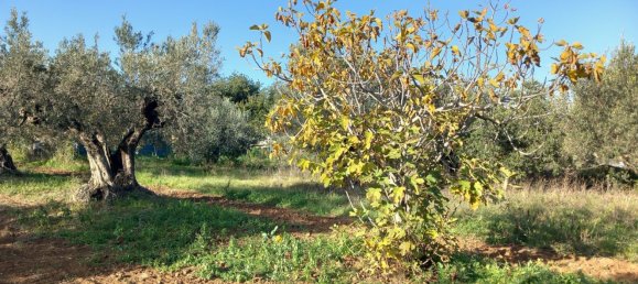 Studio in Pianella, Italy No. 188870 3