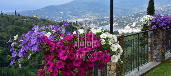 4 rooms Villa in Zoagli, Italy No. 36215 4