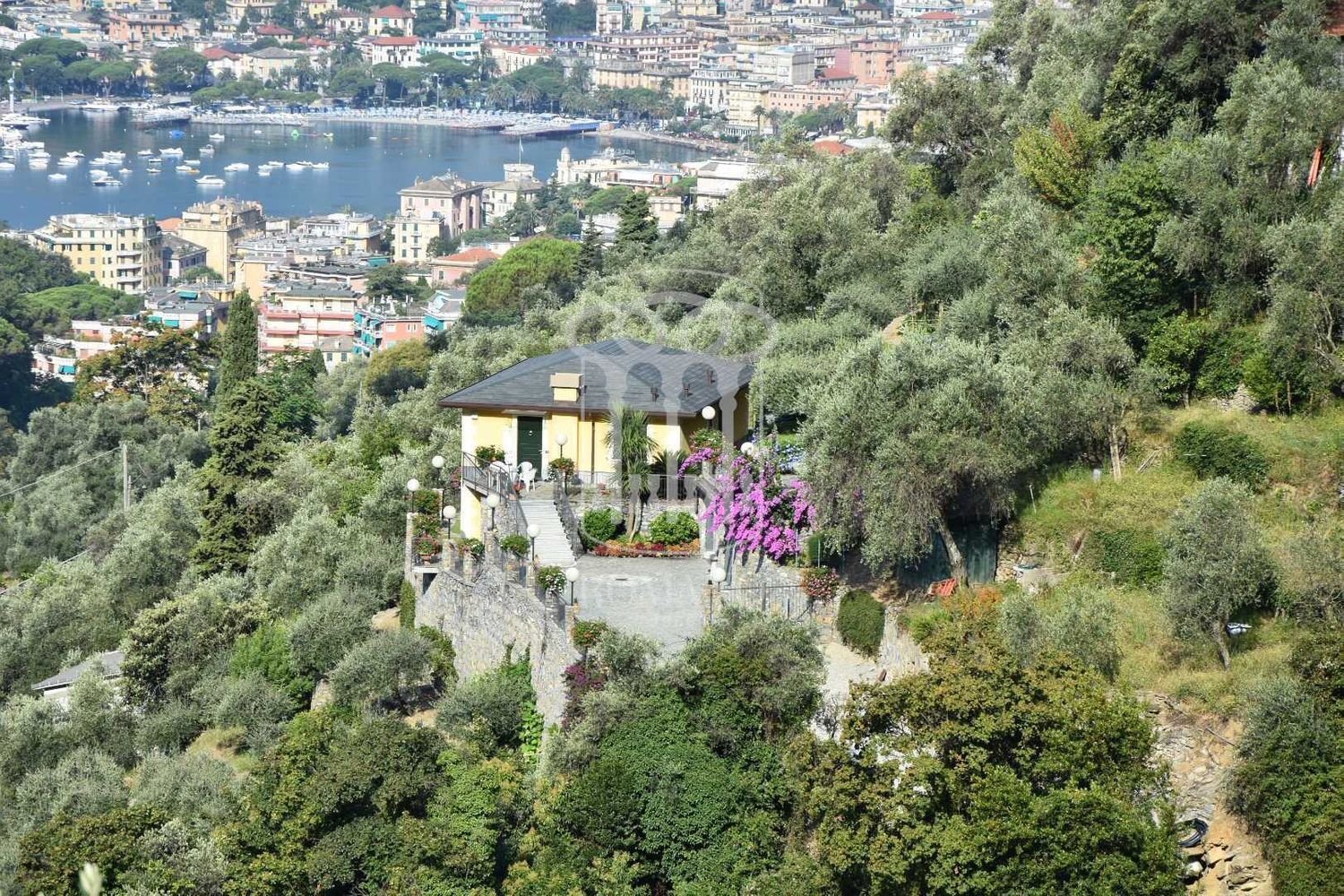 4 rooms Villa in Zoagli, Italy No. 36215