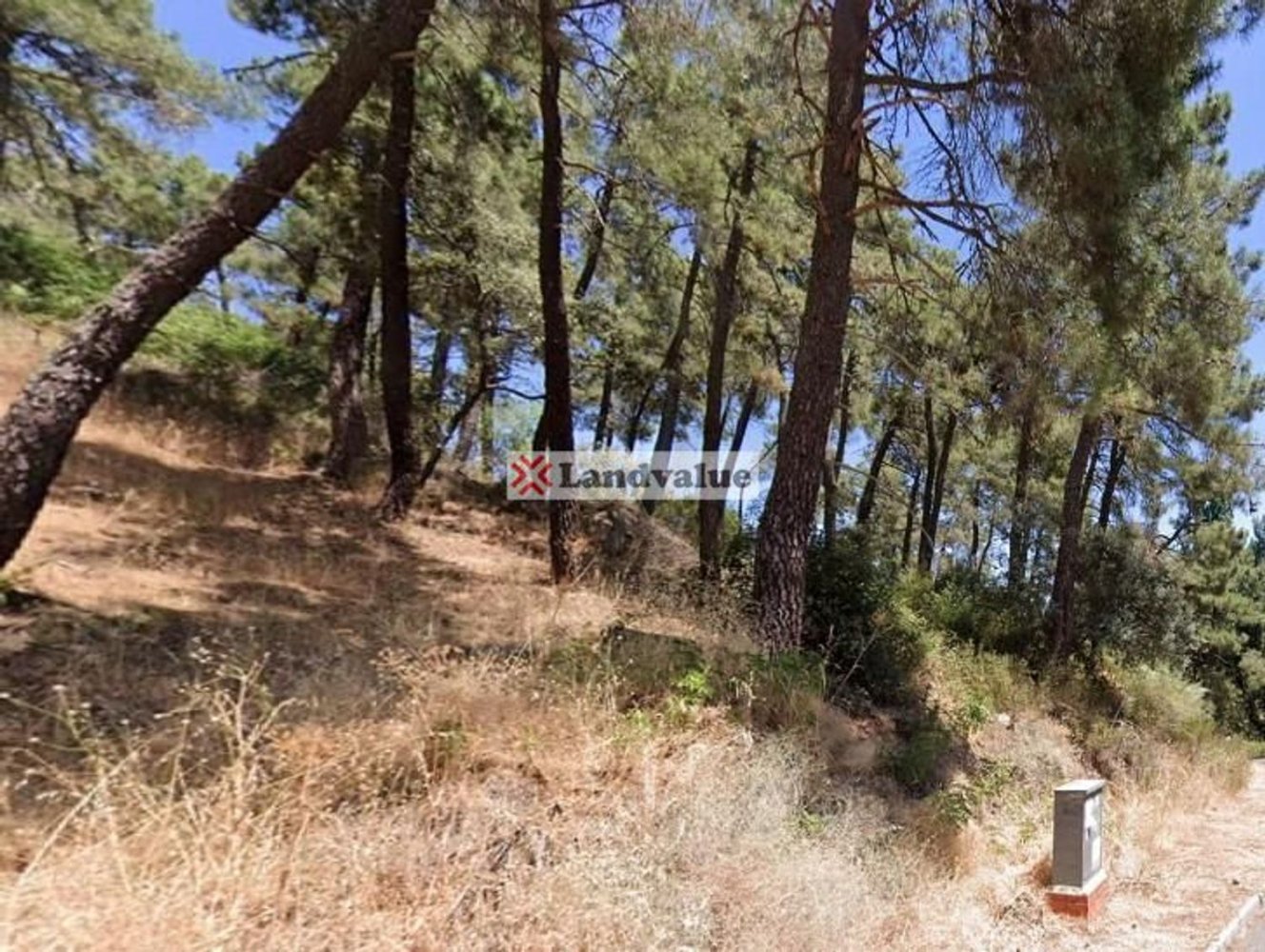  Land in Cadalso de los Vidrios, Spain No. 199105