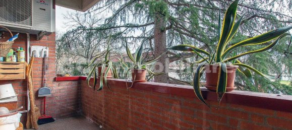 6 rooms Apartment in Imola, Italy No. 115078 6