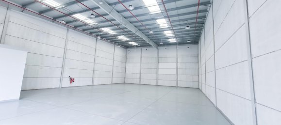 Lagerhaus in RAK FTZ, UAE 400m², Nr. 26523 2