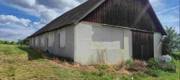 7-Zimmer Haus in Schrattenthal, Austria, Nr. 224507 5