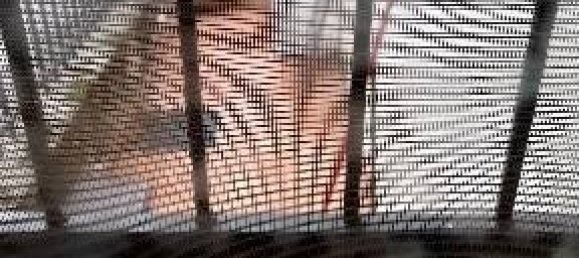 1 bedroom Apartment in Scarperia e San Piero, Italy No. 330104 5