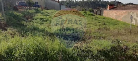 795m² Land in Anadia, Portugal No. 66029 2