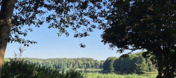 Bungalow T1 em Ludwigslust-Parchim, Germany N.º 245592 19