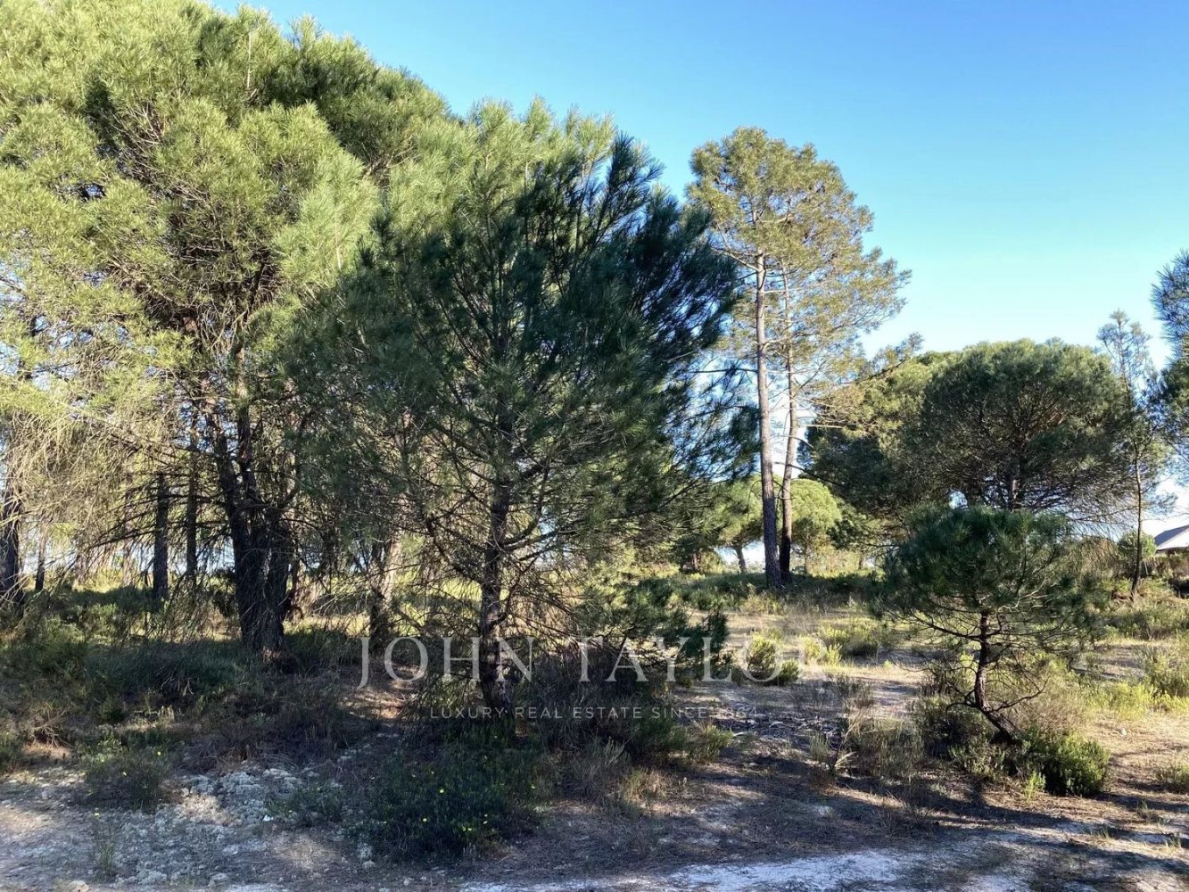 Grundstück in Alcacer do Sal, Portugal 1033m², Nr. 123389