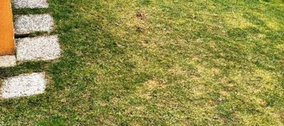 6-salle Maison à Gazzaniga, Italy No. 202066 18