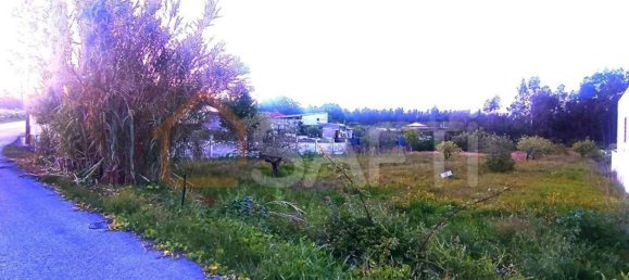 2170m² Land in Marinha Grande, Portugal No. 64111 3