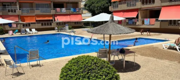 3 bedrooms Apartment in Murcia, Spain No. 144196 22