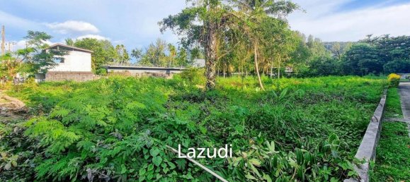  Commercial property in Bang Tao, Thailand No. 14301 7