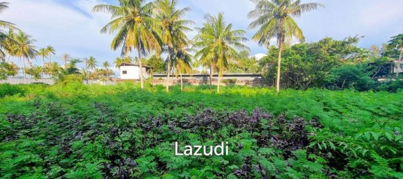  Commercial property in Bang Tao, Thailand No. 14301 2