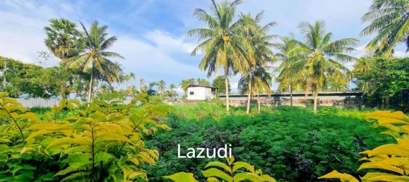  Commercial property in Bang Tao, Thailand No. 14301 3