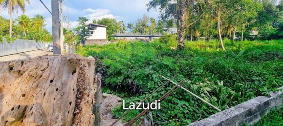  Commercial property in Bang Tao, Thailand No. 14301 6