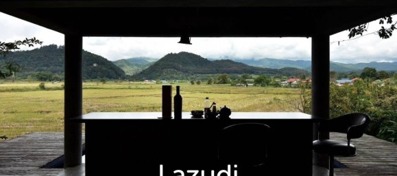 6 bedrooms Cafe / restaurant in Chiang Mai, Thailand No. 19740 10