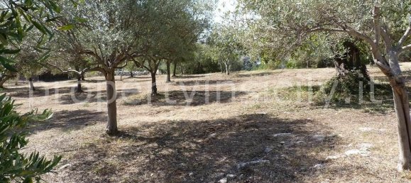 9-Zimmer Villa in Noto, Italy, Nr. 113826 24