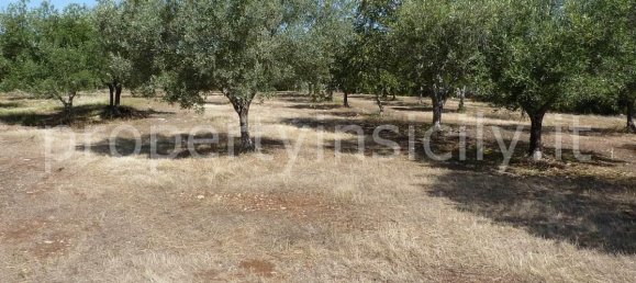 9-Zimmer Villa in Noto, Italy, Nr. 113826 21