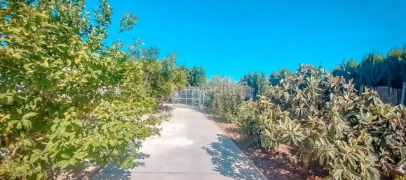 4 bedrooms House in La Carlota, Spain No. 80530 33