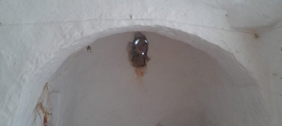 Дом с 2 спальнями в Остуни, Италия № 371759 6