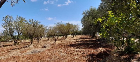 Дом с 2 спальнями в Остуни, Италия № 371759 18