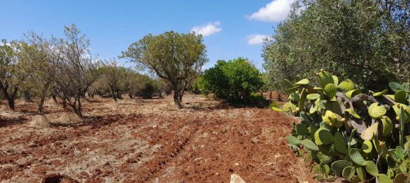 Дом с 2 спальнями в Остуни, Италия № 371759 22