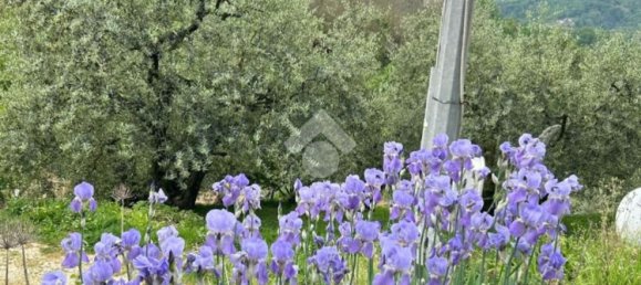 4 rooms House in Olevano Romano, Italy No. 236338 5