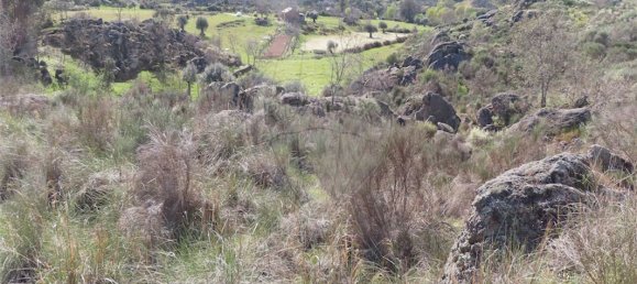 9 Schlafzimmer Haus in Penamacor, Portugal, Nr. 58556 18