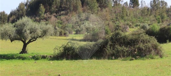 9 Schlafzimmer Haus in Penamacor, Portugal, Nr. 58556 10