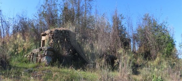 9 Schlafzimmer Haus in Penamacor, Portugal, Nr. 58556 43